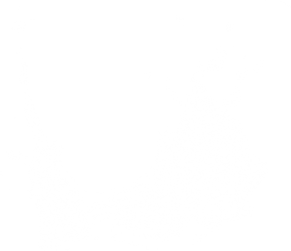 白色水花 浪花